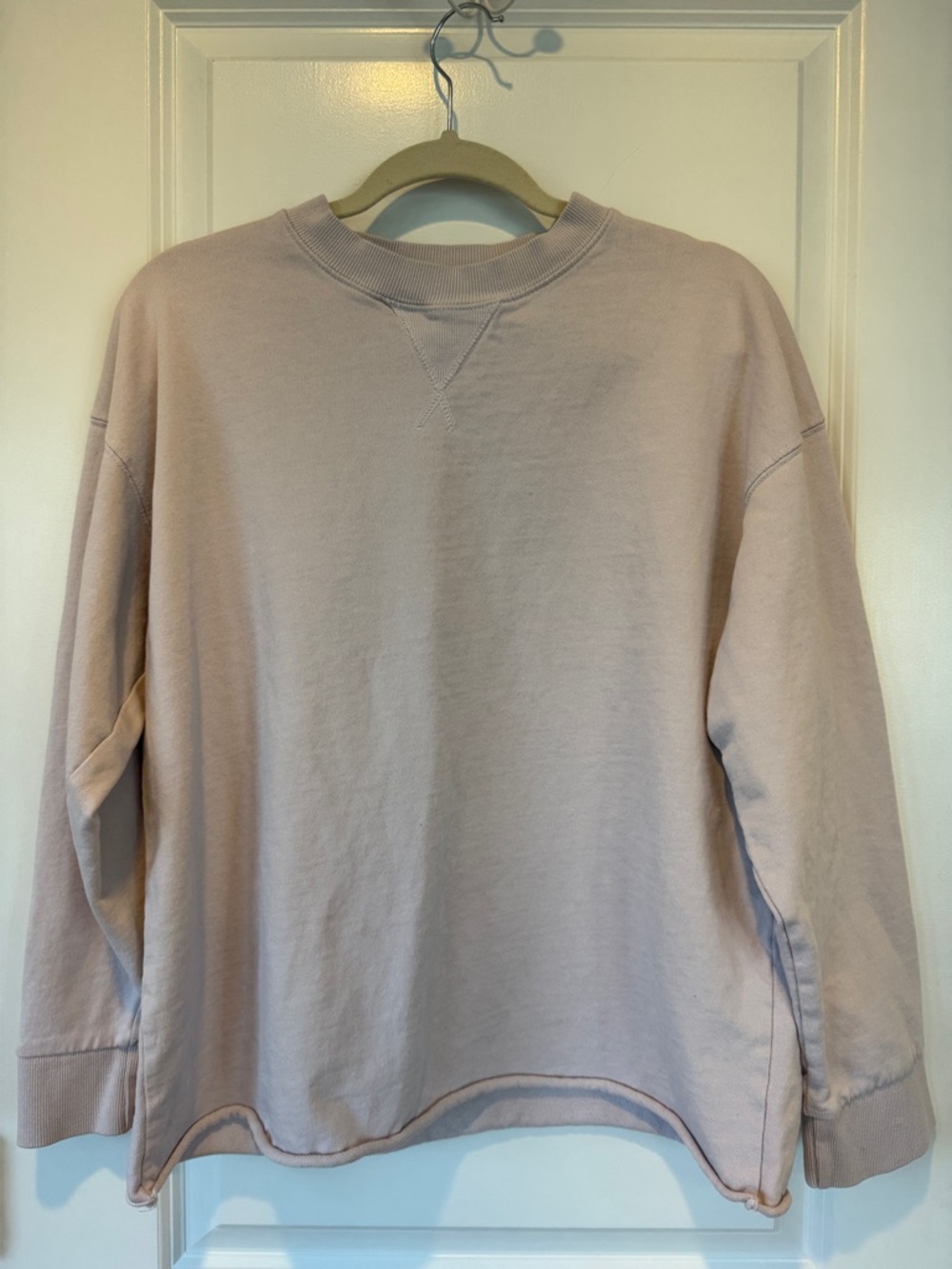 Zara Crewneck Sweatshirt in Light Blush